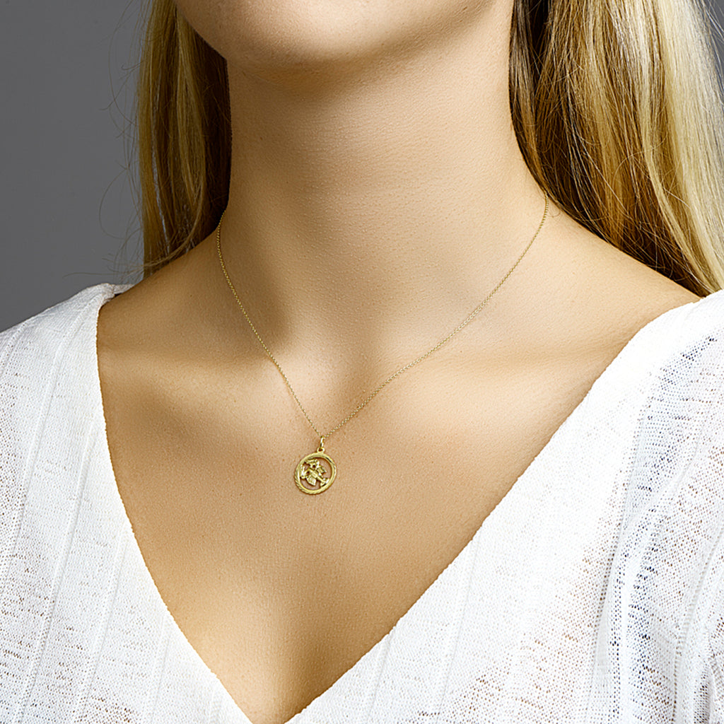 Hanger sterrenbeeld kreeft gediamanteerd 14k geelgoud