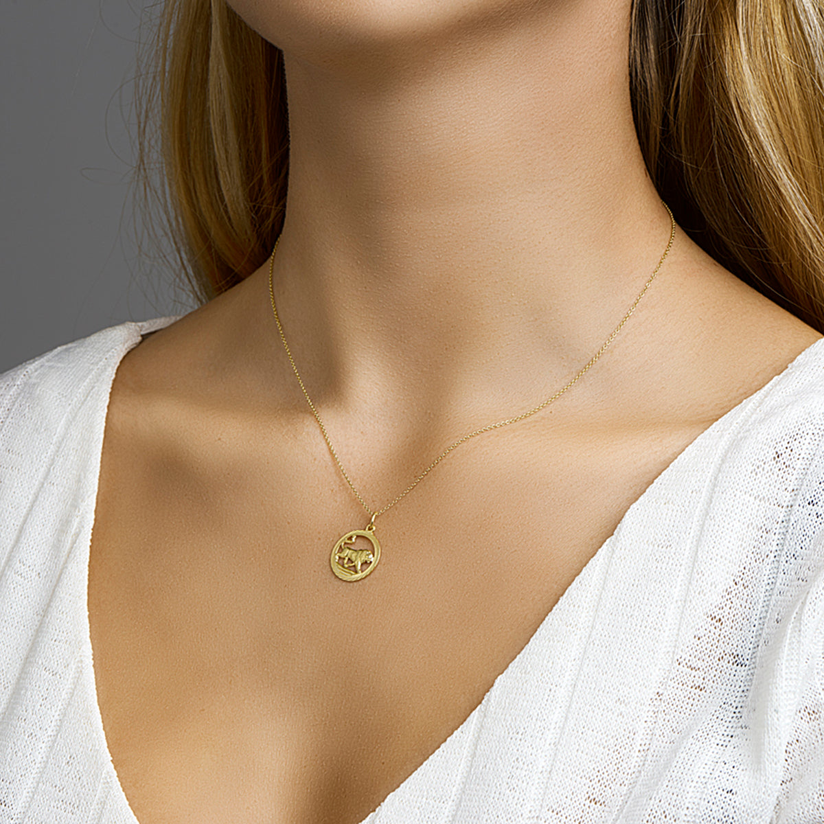 Hanger sterrenbeeld leeuw gediamanteerd 14k geelgoud