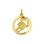 Hanger sterrenbeeld schorpioen gediamanteerd 14k geelgoud