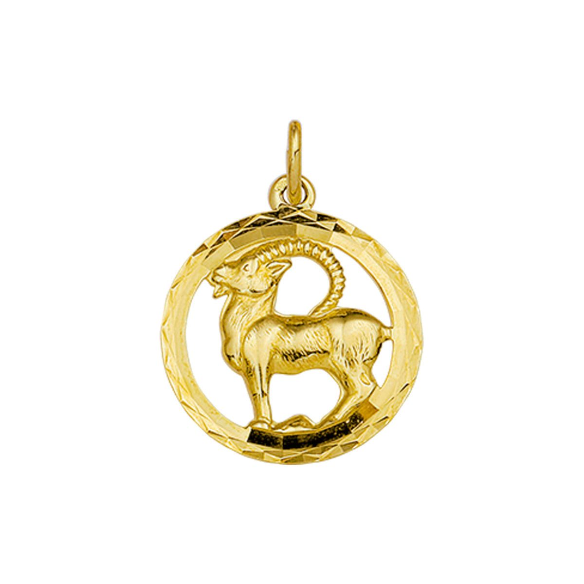 Hanger sterrenbeeld steenbok gediamanteerd 14k geelgoud