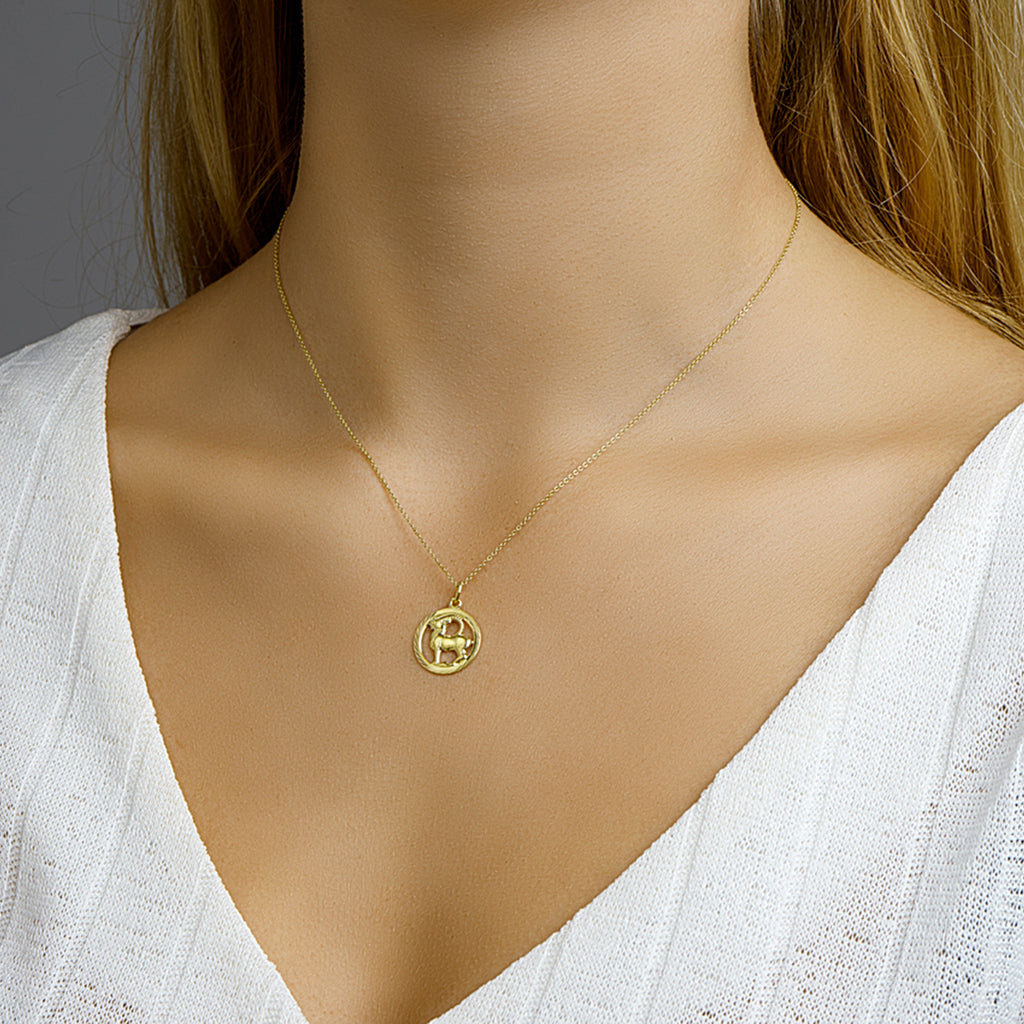 Hanger sterrenbeeld steenbok gediamanteerd 14k geelgoud