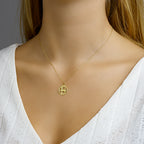 Hanger sterrenbeeld steenbok gediamanteerd 14k geelgoud