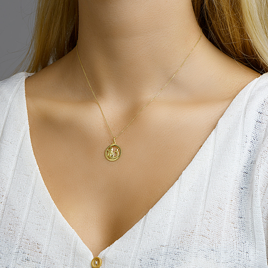 Hanger sterrenbeeld waterman gediamanteerd 14k geelgoud