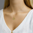 Hanger sterrenbeeld waterman gediamanteerd 14k geelgoud