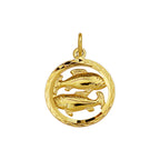 Hanger sterrenbeeld vissen gediamanteerd 14k geelgoud