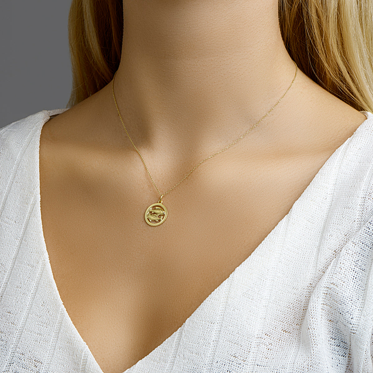 Hanger sterrenbeeld vissen gediamanteerd 14k geelgoud