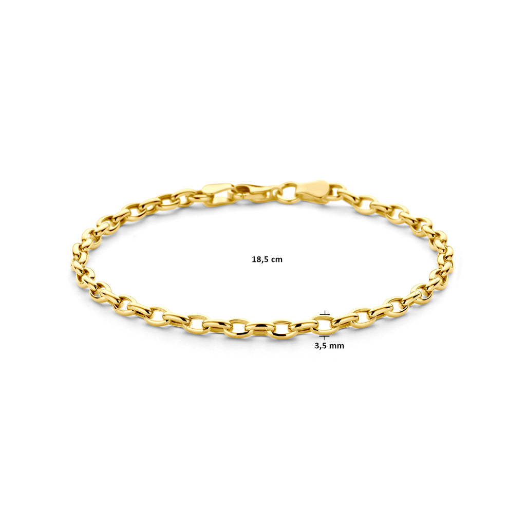 Armband anker 3,1 mm 18,5 cm 14k geelgoud