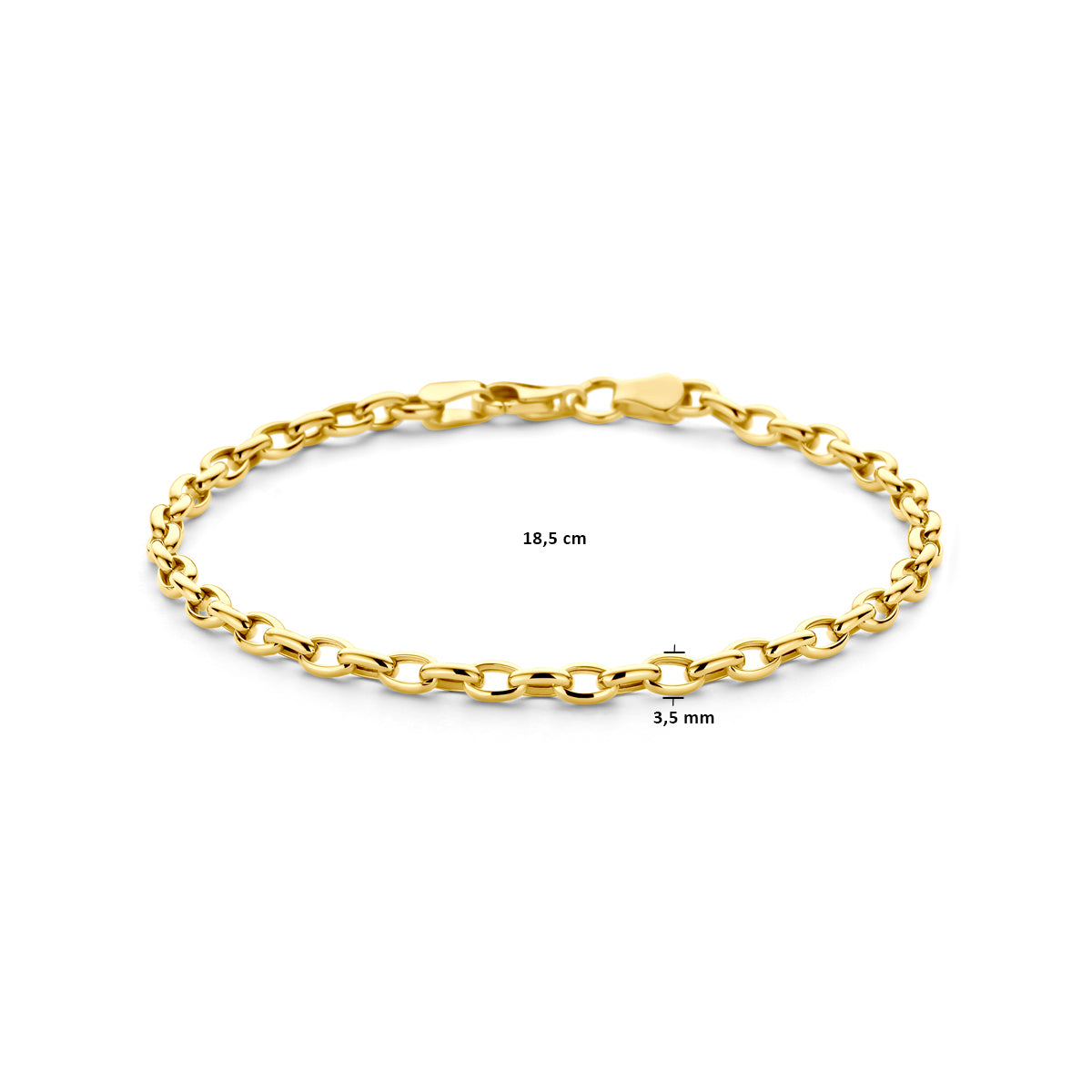 Armband anker 3,1 mm 18,5 cm 14k geelgoud