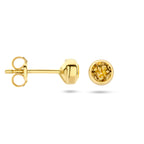 Oorknoppen citrien 14k geelgoud