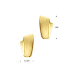Oorknoppen poli/mat 14k geelgoud