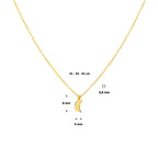 Collier maan 41 - 43 - 45 cm 14k geelgoud