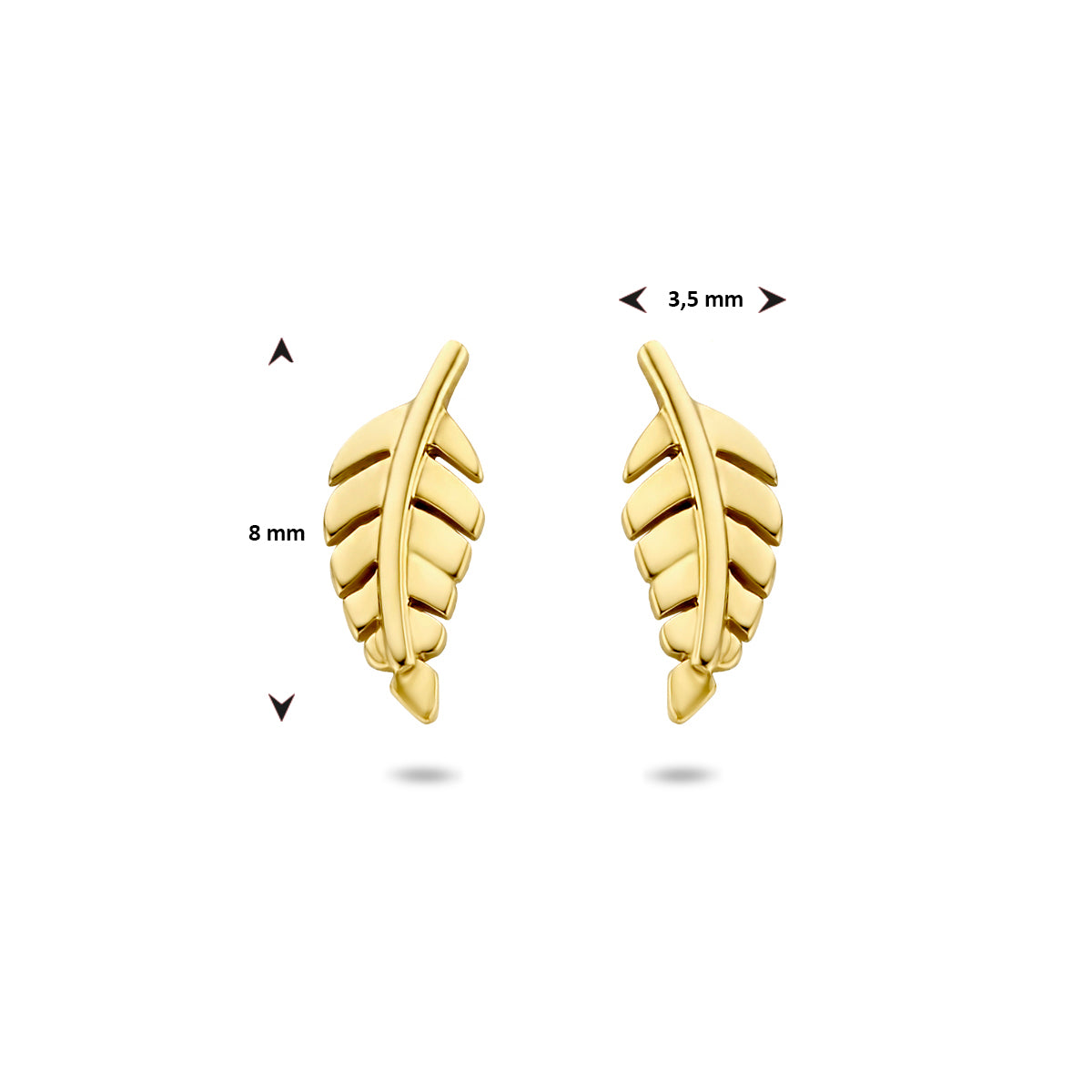 Oorknoppen veer 14k geelgoud