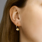 Oorringen rondjes 14k geelgoud