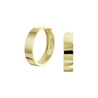 Oorringen met scharnier 14k geelgoud