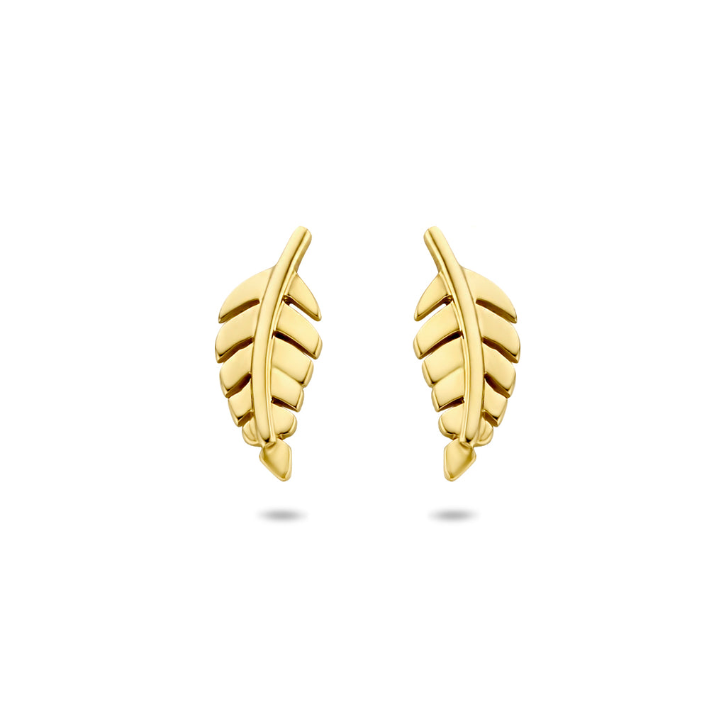 Oorknoppen veer 14k geelgoud