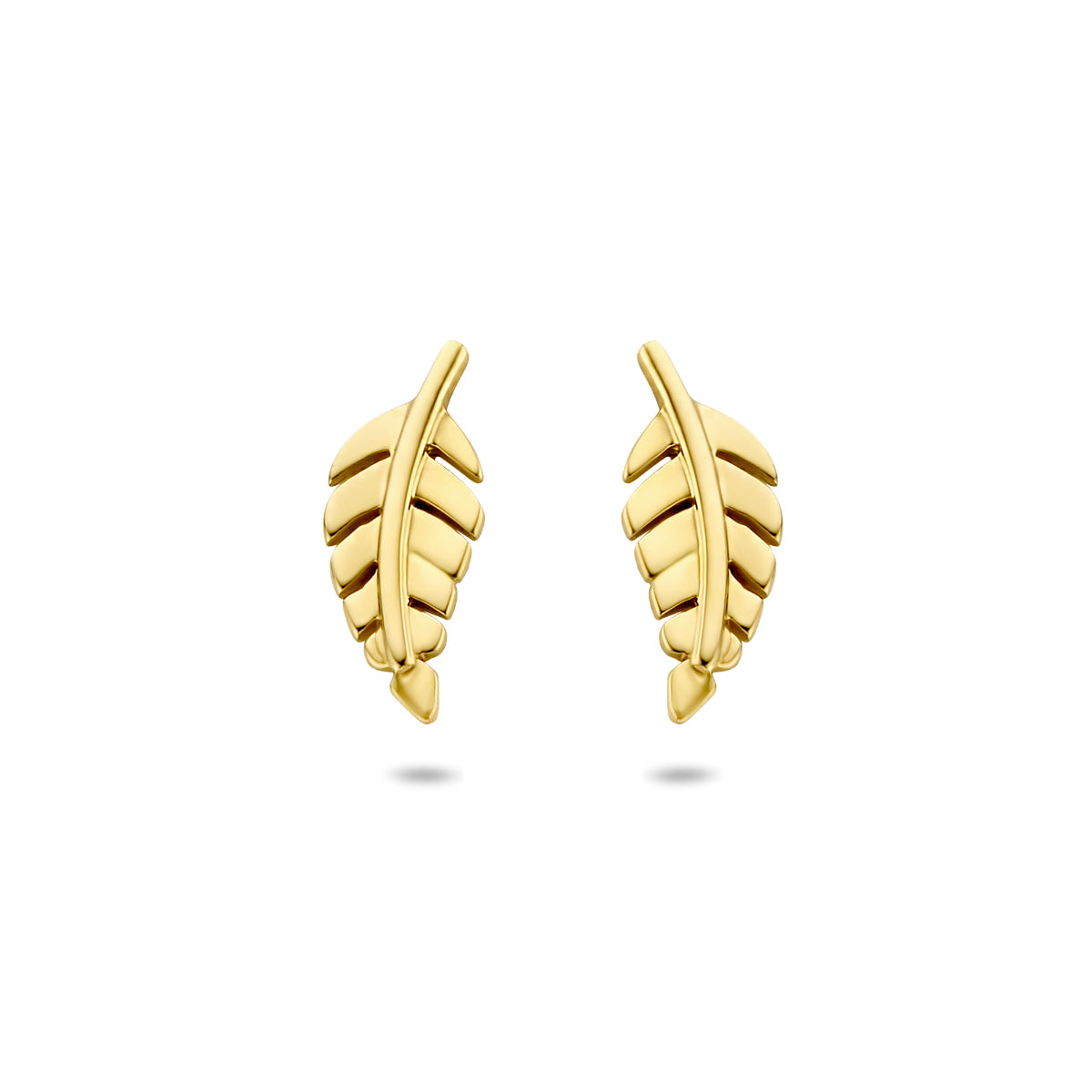 Oorknoppen veer 14k geelgoud