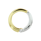 Hanger rondje zirkonia bicolor gestift 14k geelgoud