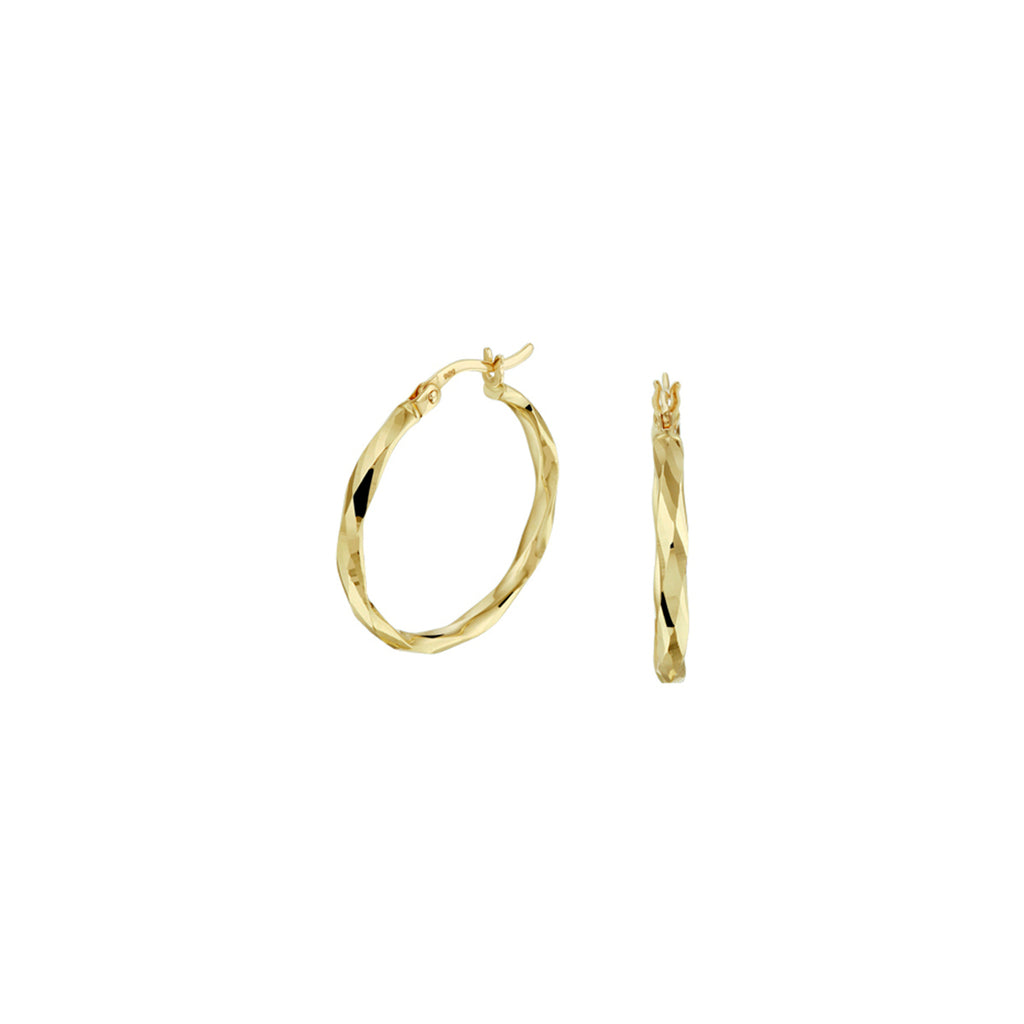 Oorringen gediamanteerd 2,5 mm 14k geelgoud