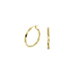 Oorringen gediamanteerd 2,5 mm 14k geelgoud