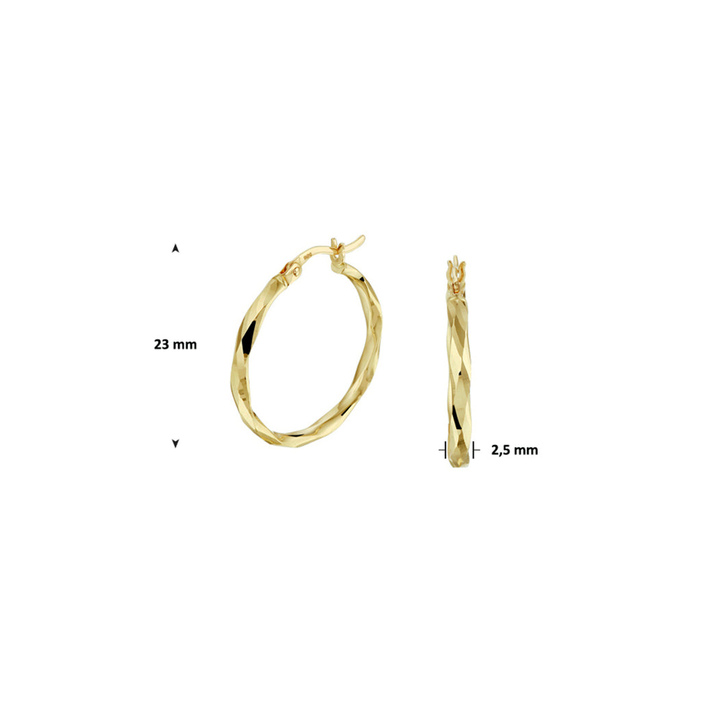 Oorringen gediamanteerd 2,5 mm 14k geelgoud
