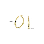 Oorringen gediamanteerd 2,5 mm 14k geelgoud