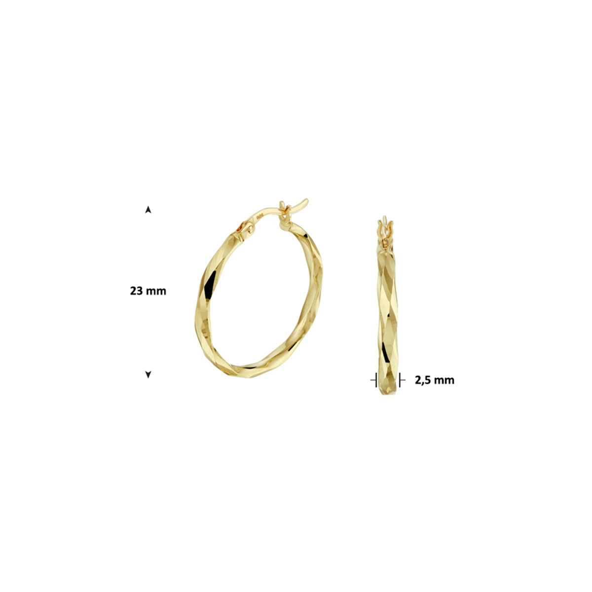 Oorringen gediamanteerd 2,5 mm 14k geelgoud