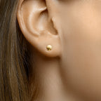Oorknoppen schelp 14k geelgoud