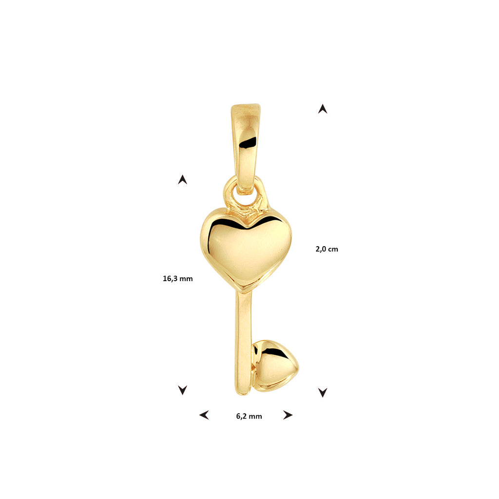 Hanger sleutel 14k geelgoud