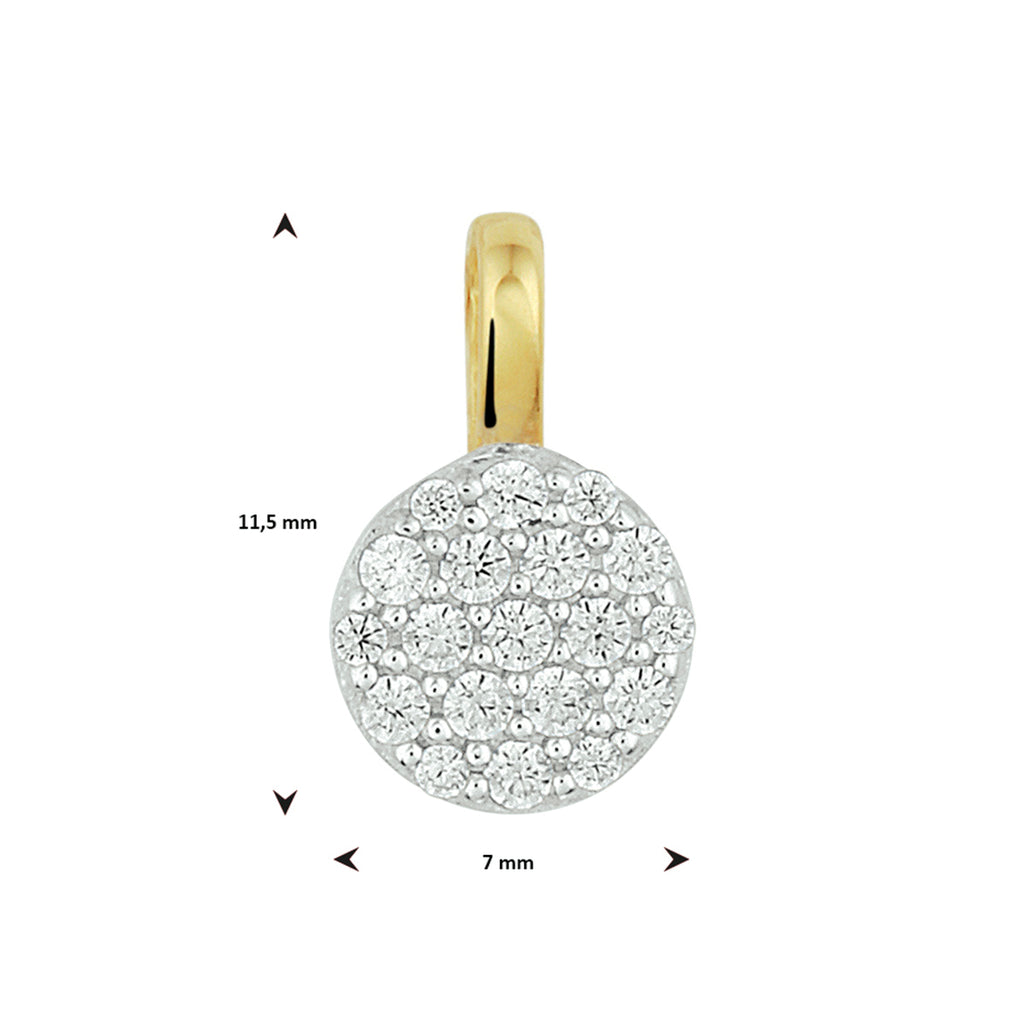 Hanger rond zirkonia bicolor gestift 14k geelgoud