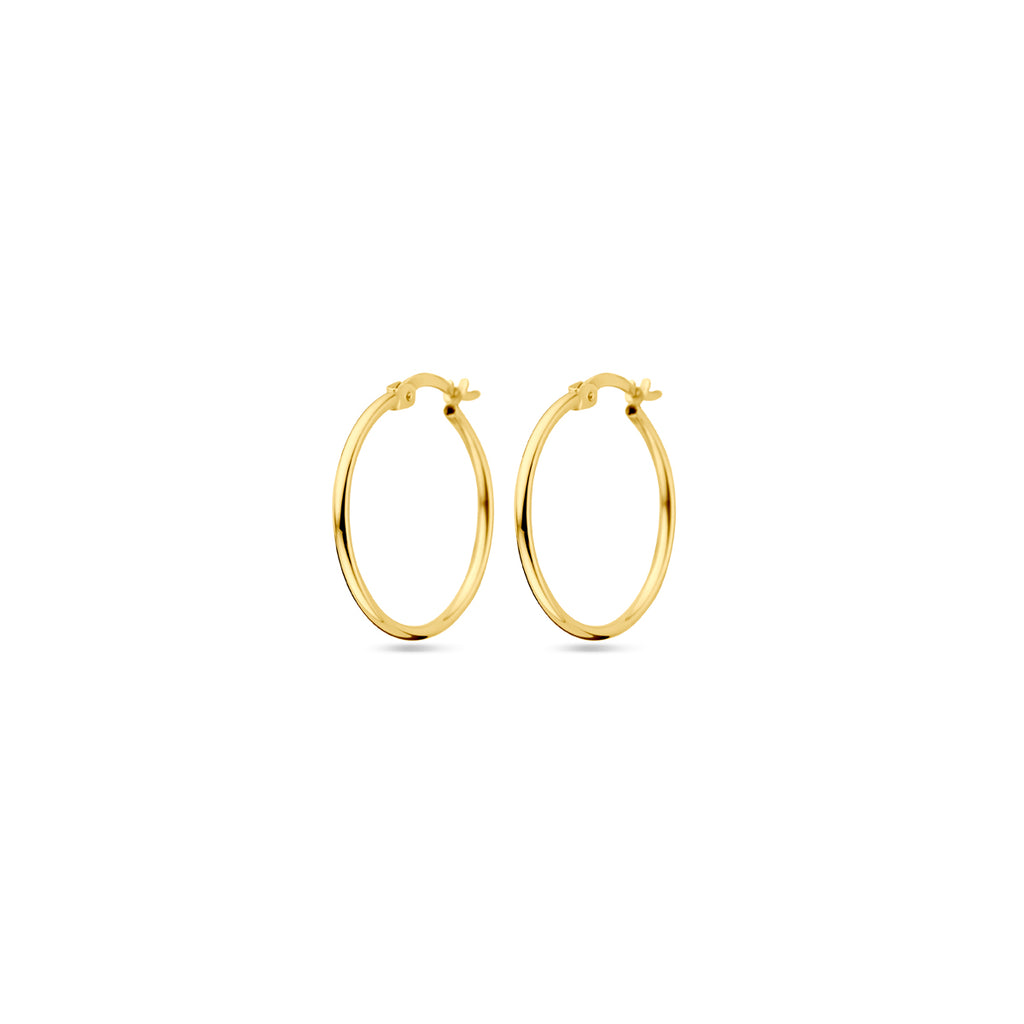 Oorringen 14k geelgoud