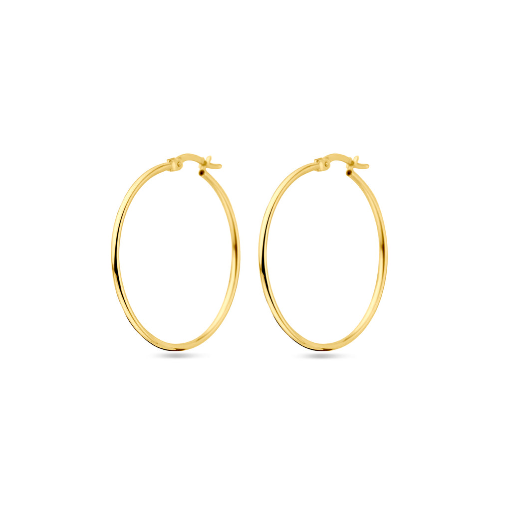 Oorringen 14k geelgoud