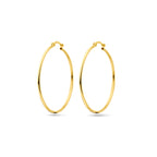 Oorringen 14k geelgoud