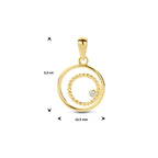 Hanger zirkonia 14k geelgoud