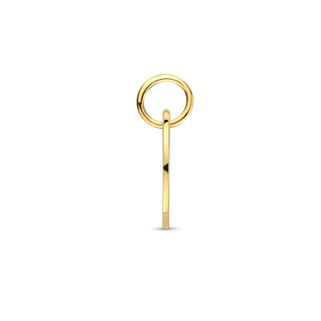 Hanger sterrenbeeld 14k geelgoud