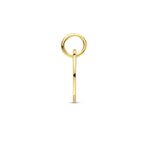 Hanger sterrenbeeld 14k geelgoud