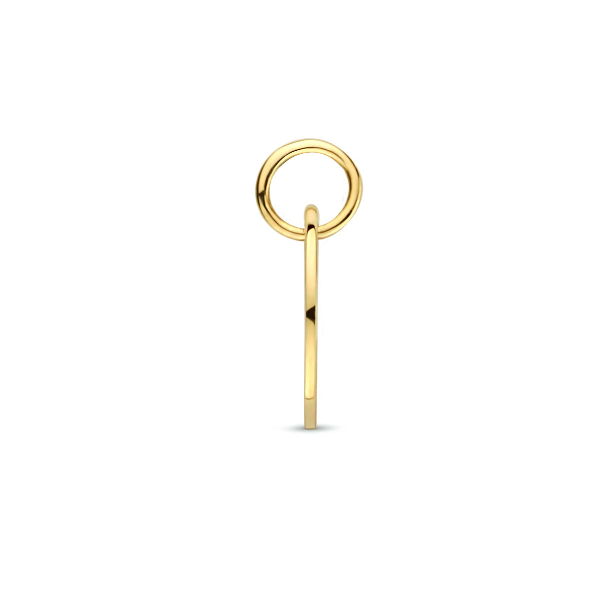 Hanger sterrenbeeld 14k geelgoud