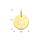Hanger sterrenbeeld 14k geelgoud