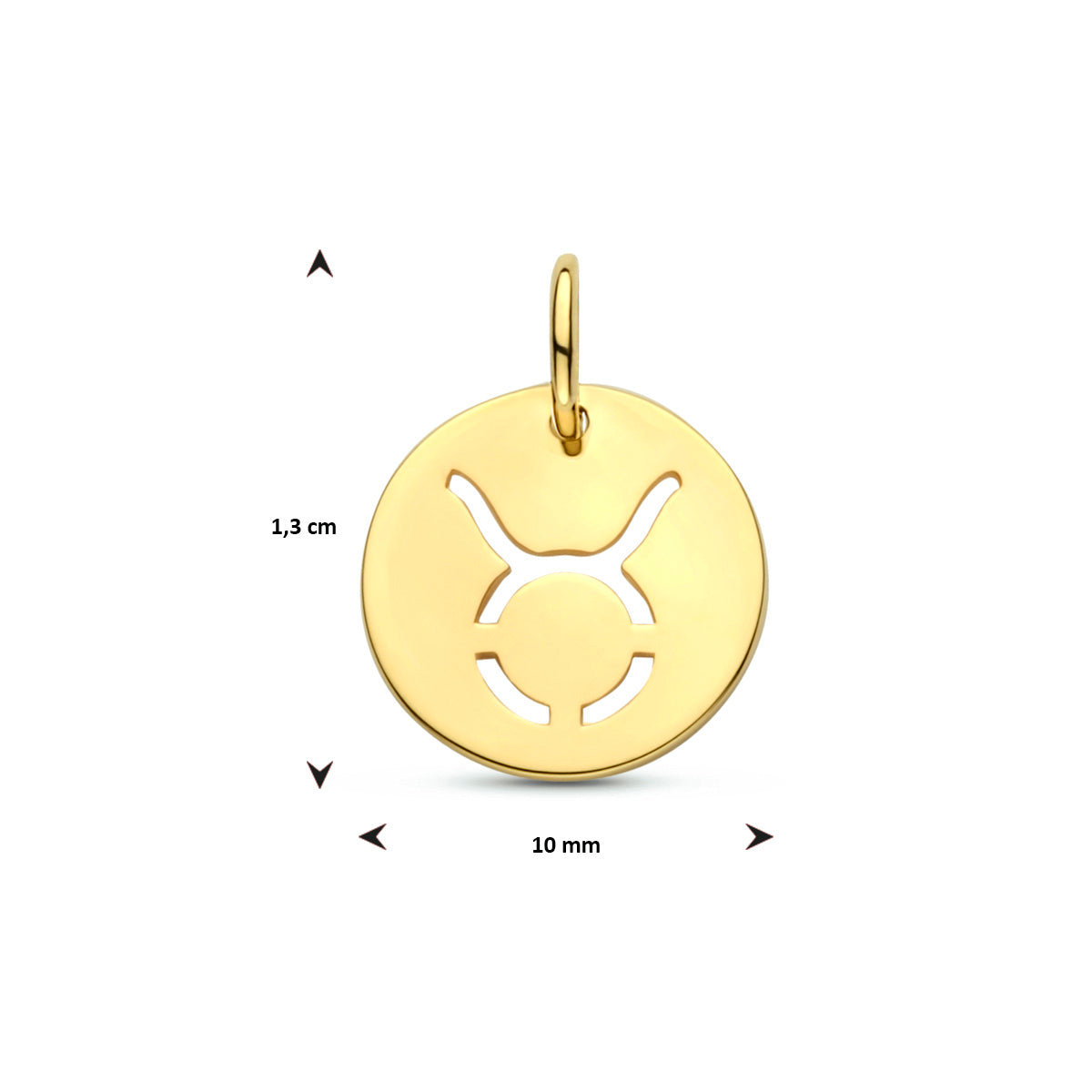 Hanger sterrenbeeld 14k geelgoud