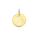 Hanger sterrenbeeld 14k geelgoud