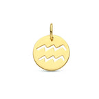 Hanger sterrenbeeld 14k geelgoud