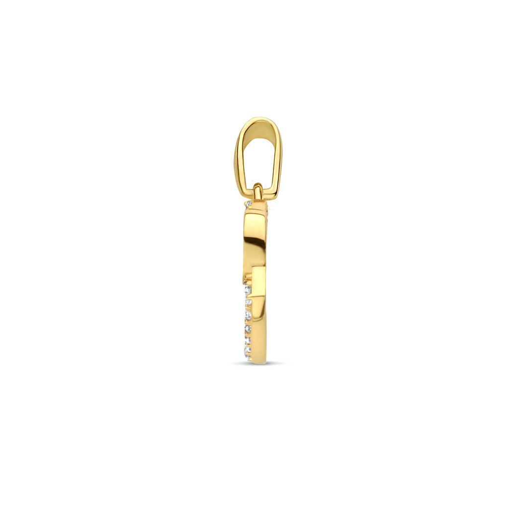 Hanger hartjes zirkonia 14k geelgoud