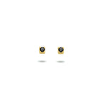 Oorknoppen zwart zirkonia 14k geelgoud