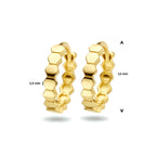 Klapoorringen zeshoek 14k geelgoud