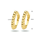 Klapoorringen bolletjes 14k geelgoud