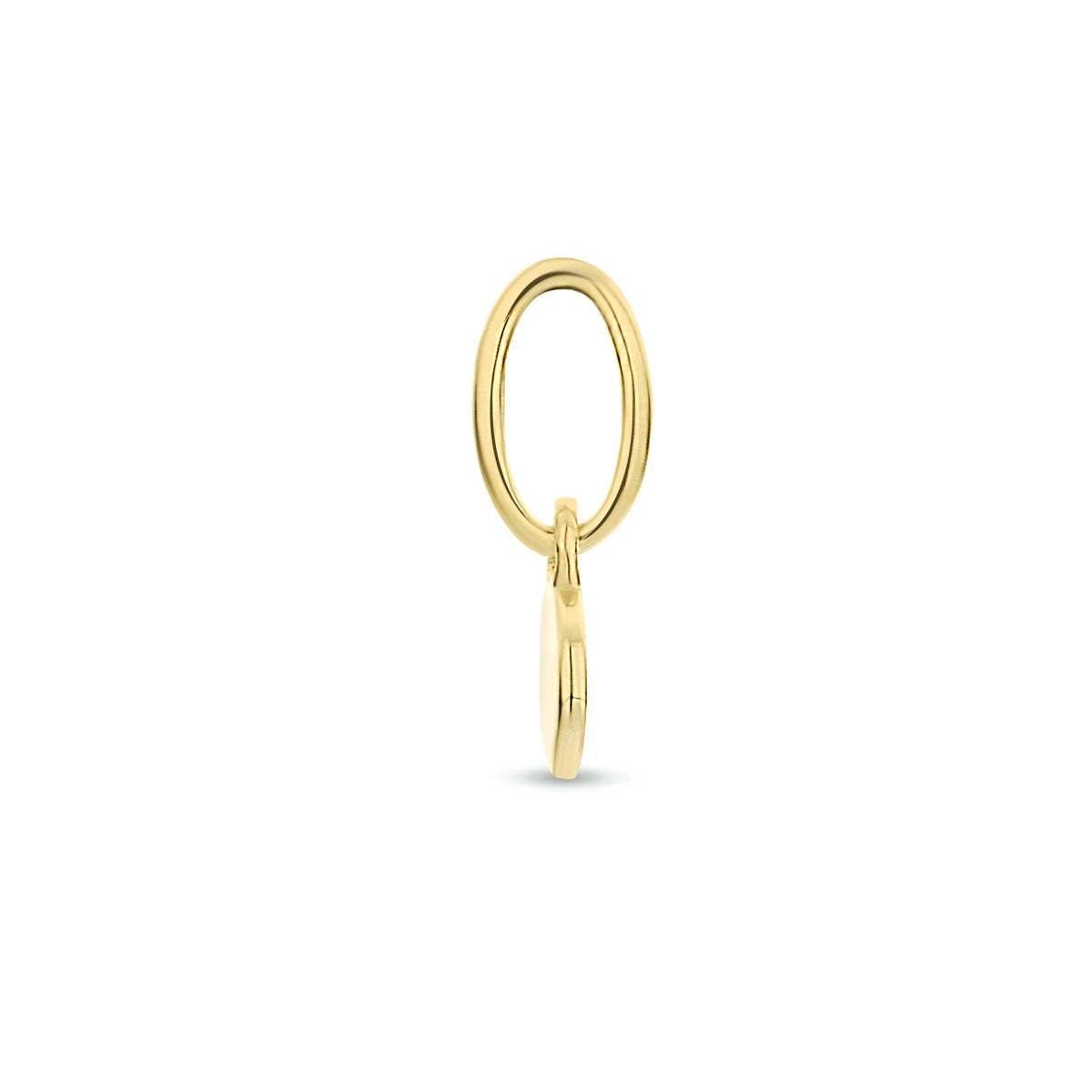Hanger rond 14k geelgoud