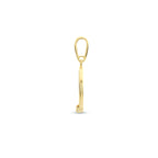 Hanger rond zirkonia 14k geelgoud