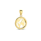 Hanger wereldbol 14k geelgoud