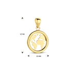 Hanger wereldbol 14k geelgoud