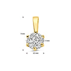 Hanger zirkonia 14k geelgoud