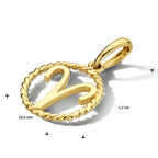 Hanger sterrenbeeld 14k geelgoud